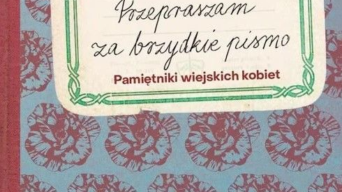 Niebieska okładka jest pokryta czerwonymi, staroświecko wyglądającymi pieczątkami a'la róże. Przypomina okładkę dawnego zeszytu.
