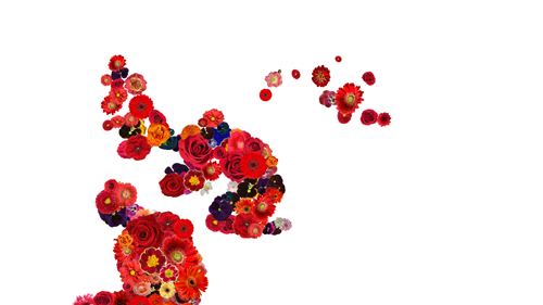 A. Wasilewski "Les fleurs du mal". Fot. mat. org.