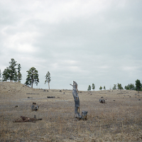 Odautorska interpretacja dokumentu