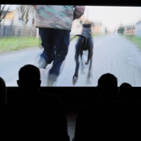 Off Cinema - róg obfitości