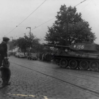 Okrucieństwo na Ławicy