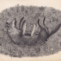 Opowieść żyje dzięki obrazom