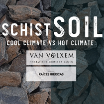 Podłużne i szerokie kamienie.