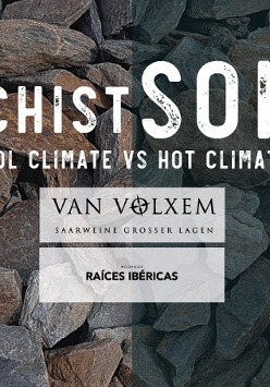 Podłużne i szerokie kamienie.