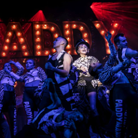 Paderewski - inne oblicze