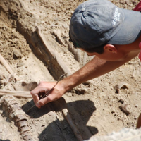 Pamiętajmy o kolegiacie