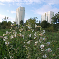 Park i użytek ekologiczny
