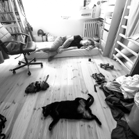 Październik miesiącem... fotografii