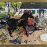 Perspektywa zwierzęca