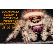 plakat wydarzenia