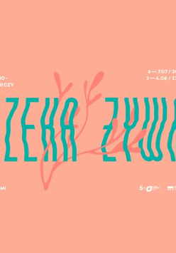 Plaża w Chomęcicach