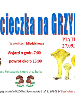 Plakat wydarzenia - kolorowe napisy, rysunki grzybów