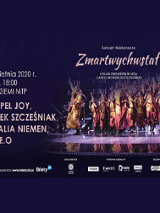 Artyści w trakcie koncertu