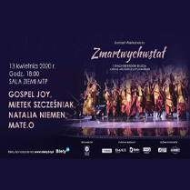 Artyści w trakcie koncertu