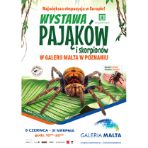 Na srodku brązowy pająk na dużym zielony liściu. Na górze duży zielony napis na białym tle. Na dole małe napisy.