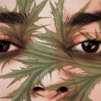 Plakat przedstawia twarz młodego mężczyzny patrzącego na wprost. Na wysokości jego oczu oraz nosa rozpościerają się liście ostu. Tło za bohaterem jest w kolorze zielonym.