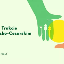 Zielona ręka z roślinami zamiast palców oraz pomarańczowa ręka z elementami architektonicznymi zamiast palców.