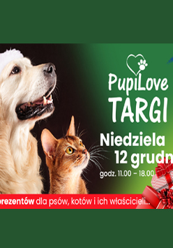 Po lewej stronie pies w czapce Mikołaja i kot patrzą na coś u góry. Po prawej napisy informujące o wydarzeniu, zielone tło.