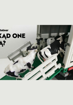 Zabawki przedstawiające krowy wsiadają do dużego samochodu. W lewym górnym rogu nazwisko artystki i tytuł wystawy.