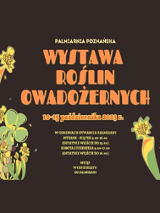 Plakat z informacjami o wydarzeniu, które są też podane w artykule. Po bokach zielone grafiki symbolizujące rośliny.