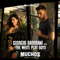 czterech wykonawców