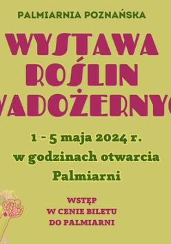 plakat