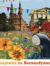 widok na rynek bernardyński wypelnione kwiatami z kościołem w tle