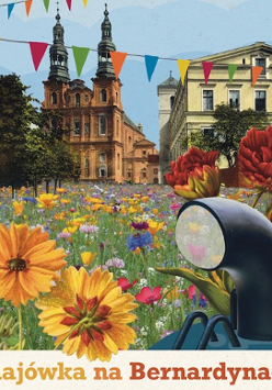 widok na rynek bernardyński wypelnione kwiatami z kościołem w tle