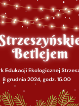 Białe napisy na czerwonym tle. Po bokach świąteczne gałązki.