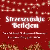 Białe napisy na czerwonym tle. Po bokach świąteczne gałązki.