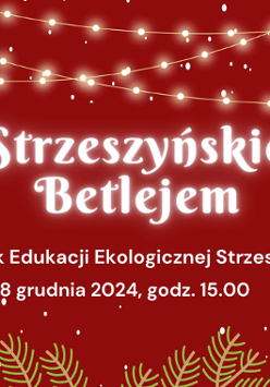 Białe napisy na czerwonym tle. Po bokach świąteczne gałązki.