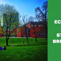 Po lewej zielony park przy Starym Browarze, a po prawej stronie baneru białe napisy na zielonym tle.