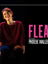 Plakat przedstawia uśmiechniętą kobietę - Phoebe Waller-Bridge - w granatowych spodniach i luźnym fioletowym swetrze, siedzącą na wysokim krześle. Spogląda w górę. Jest oświetlone przez reflektor sceniczny. Duży różowy napis FLEABAG.
