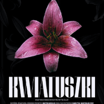 Na czarnym tle różowo-fioletowy kwiat z rozwiniętymi płatkami, u dołu plakatu tytuł przedstawienia i informacje o spektaklu.