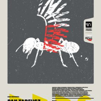 Plakat spektaklu: rysunek mrówki z biało czerwonymi skrzydłami przypominającymi skrzydła husarskie. U dołu plakatu informacje na temat spektaklu.