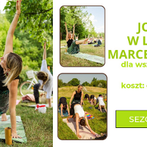 Trzy obrazki przedstawiające grupę osób ćwiczących jogę w różnych pozach, na matach, na trawie. Szczegółowe informacje na temat wydarzenia zawarte w treści artykułu.