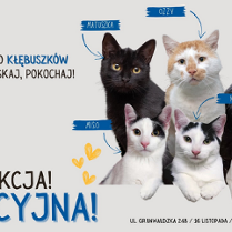 Z prawej strony plakatu zdjęcia 6 kotów na szarym tle z podpisanymi imionami w niebieskich prostokątach. Z lewej strony nazwa wydarzenia oraz grafika przedstawiająca kobietę z megafonem. U góry logo Fundacji Kłębek i hasło "Tej, wpadnij do Kłębuszków - poznaj, pogłaskaj, pokochaj". W prawym dolnym rogu data, godzina i miejsce wydarzenia. Informacje zawarte w treści artykułu."