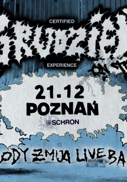 Plakat w mrocznej, niebiesko-szarej kolorystyce z ostrą, kontrastową grafiką. Nieregularne, postrzępione kształty przypominające plamy lub wybuchy rozmieszczone są na tle miejskiej, industrialnej scenerii.W ich środku znajdują się nazwy wykonawców oraz inne informacje, zawarte w treści artykułu.