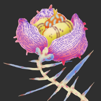 Grafika kolorowego kwiata w dużym przybliżeniu na czarnym tle.