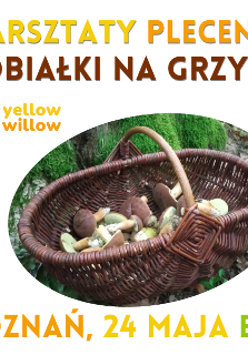Kwadratowy plakat na białym tle promujący warsztaty plecenia kobiałki na grzyby, które odbędą się 24 maja w Poznaniu, z centralnie umieszczonym zdjęciem wiklinowego kosza pełnego grzybów na leśnym mchu oraz logotypem yellow willow, przypominającym drzewo wpisane w okrąg.