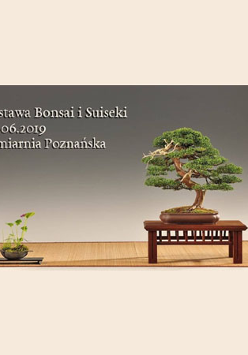 plakat z bonsai