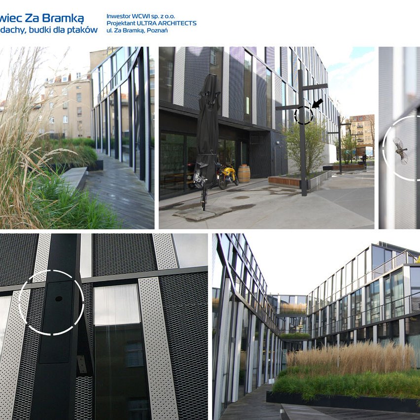 Plansza 1