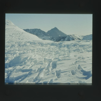 Plenery warte utrwalenia