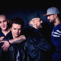 Po 15 latach lipy nie ma...