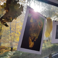 Pociąg do kultury, odjazd!