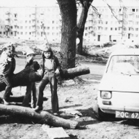 Pola, sady, blokowiska