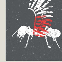 Polska wyimaginowana