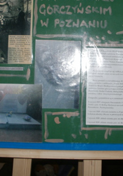 Pomniki Powstańcze na poznańskich cmentarzach