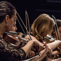 POZNAŃ BAROQUE. Niezgłębione tajemnice geniuszu