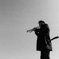 Poznań stolicą trąbki